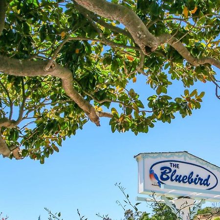 Bluebird Inn Cambria Eksteriør bilde