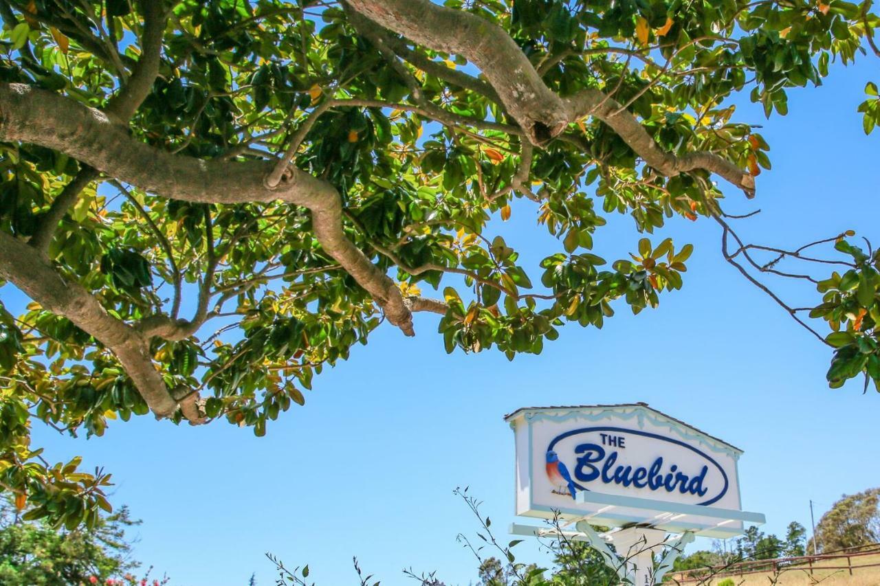 Bluebird Inn Cambria Eksteriør bilde
